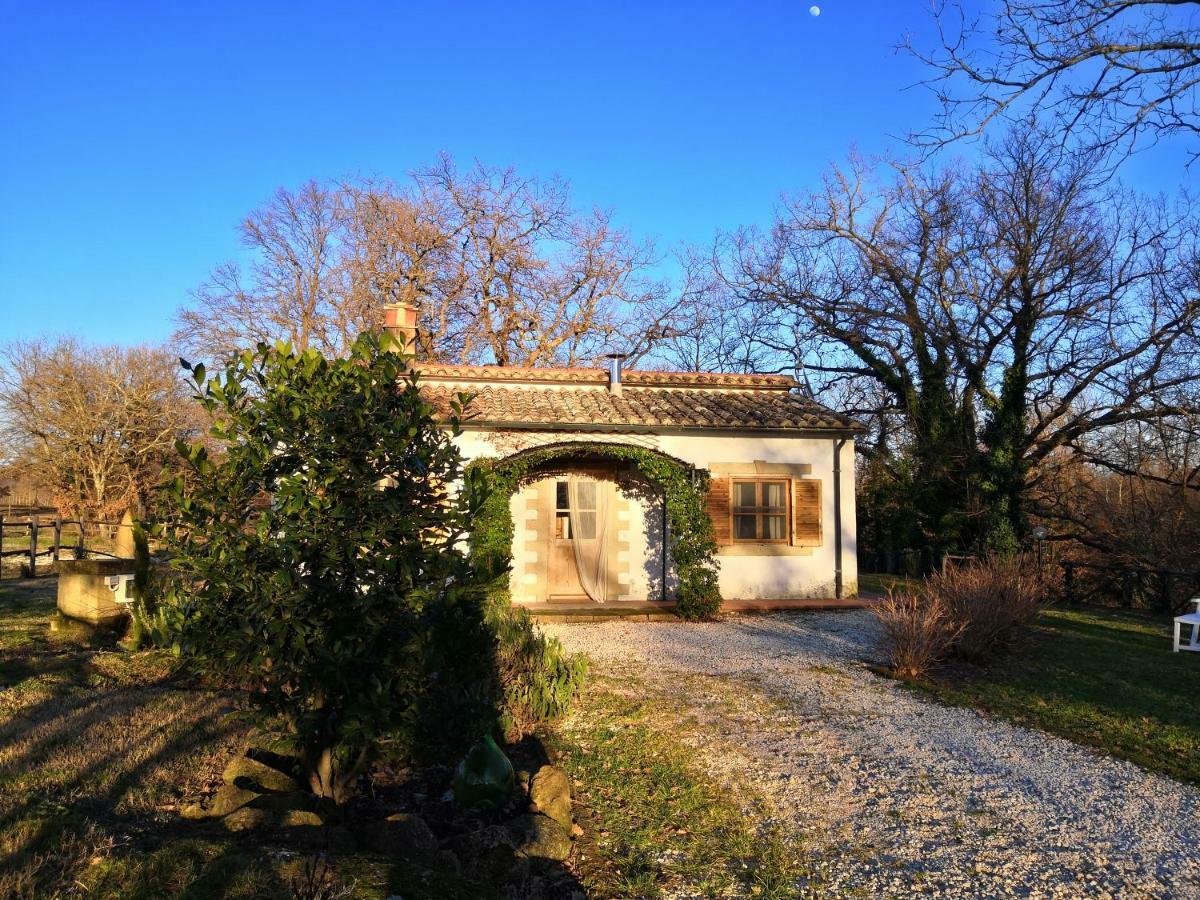 הוילה סובאנה Maremma Country Chic Le Ginestre מראה חיצוני תמונה