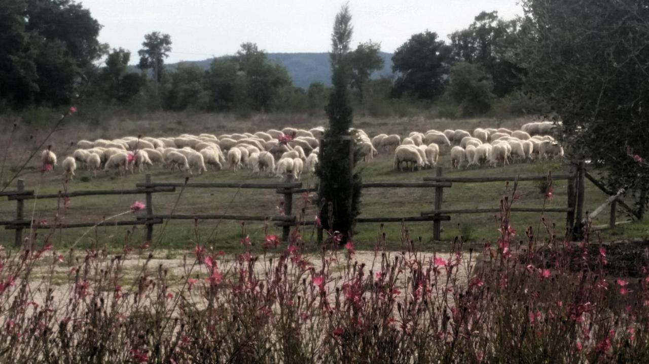 הוילה סובאנה Maremma Country Chic Le Ginestre מראה חיצוני תמונה