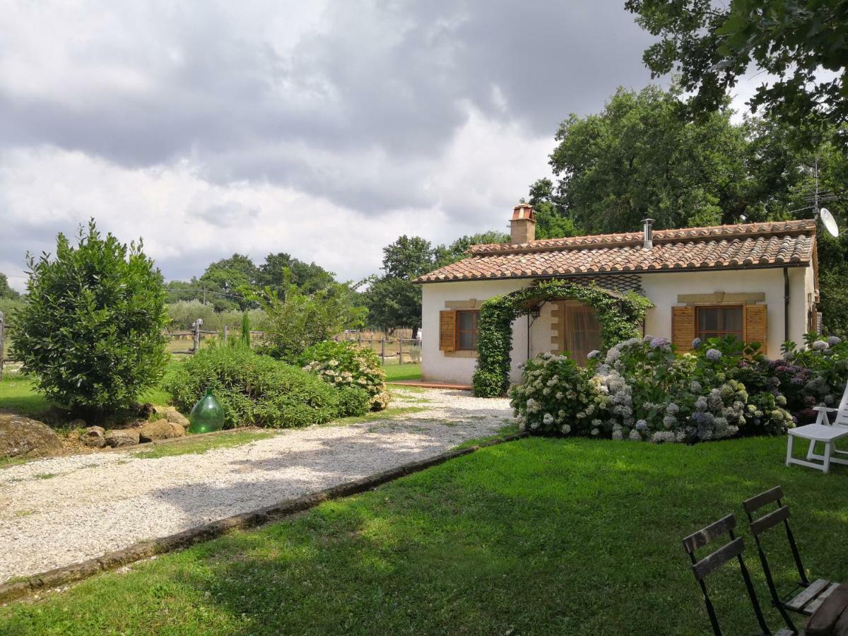 הוילה סובאנה Maremma Country Chic Le Ginestre מראה חיצוני תמונה